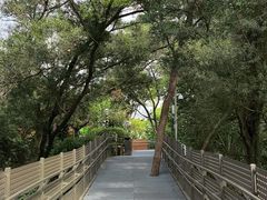 -福道