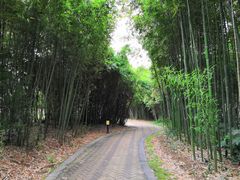 -苏州河梦清园环保主题公园