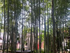 -西溪南古村落