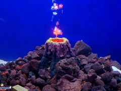 -MOJO密室逃脱(中街旗舰店)