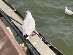 -滇池海埂公园