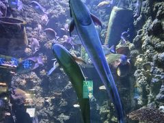 -海合安青岛极地海洋公园