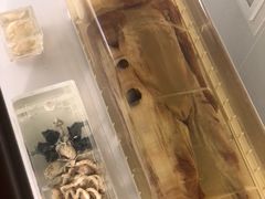 -荆州博物馆