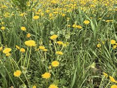 -长白山万达锦华套房酒店