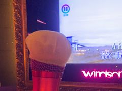 -温莎KTV(珠江路店)