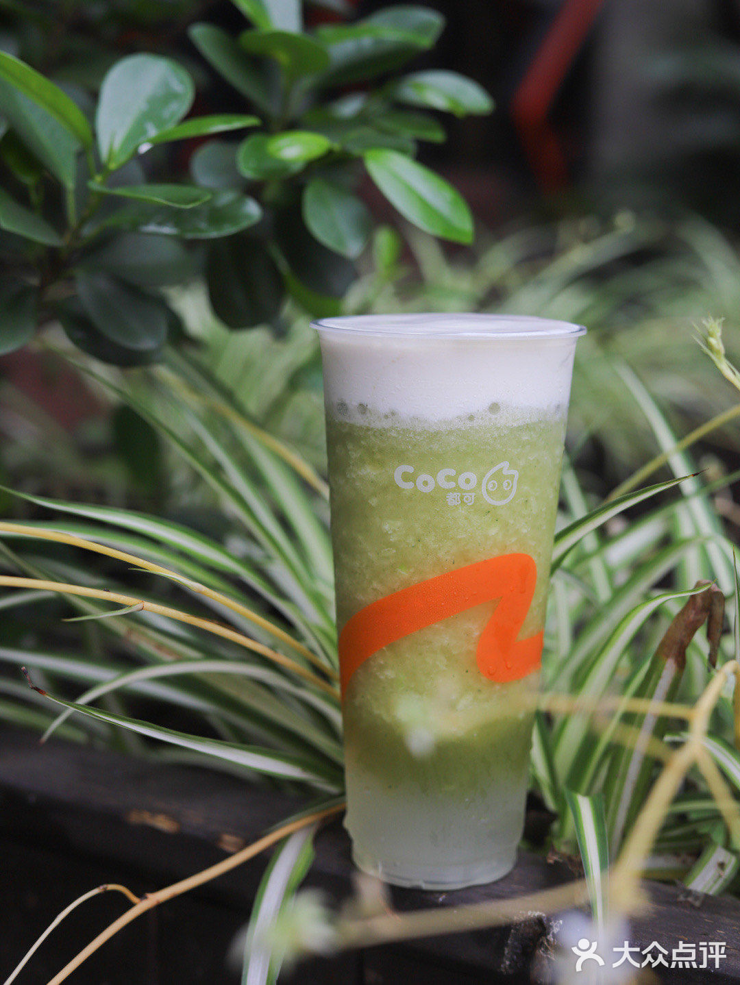 coco新品栀夏玫珑