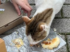-梦菲思饼屋(瑞金宾馆店)