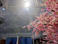 -观澜山水田园