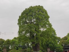 -韩湘水博园