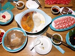 -青瓷火锅料理(西单大悦城店)