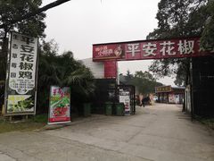 -铁山坪森林公园