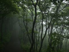 -大围山国家森林公园