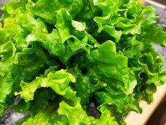 -火炉旺烤肉啤酒屋(沈北创始店)