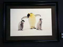 -罗红摄影艺术馆