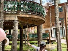 -洛阳白云山景区