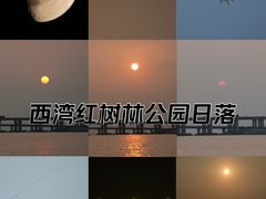 -宝安西湾红树林湿地公园