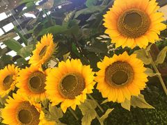 -鲜芋仙(苏州干将店)