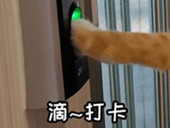 -卡朋西餐(悦汇城店)