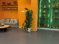 -泰古龙抓龙筋·spa按摩(浦东店)