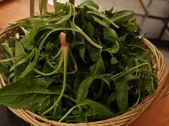-老版火锅.12年西安排队王(沣峪口店)