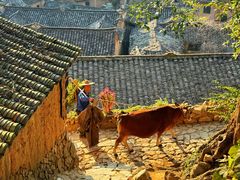 -杨家堂村