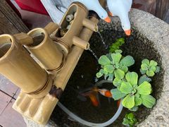 -小茶闲舍·观景商务茶馆(广州塔店)
