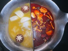 红颜花胶鸡锅-湊湊火锅·茶憩(上海合生汇店)