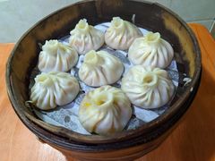 -莱莱小笼·乔艾