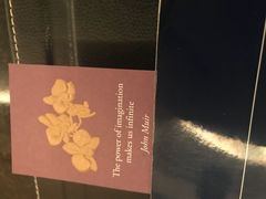 -新加坡文华东方酒店