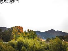 -潭柘寺景区