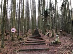 -武陵山森林公园