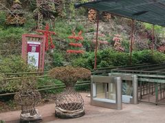 -木兰云雾山