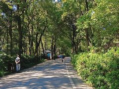 -岳麓山风景名胜区