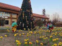 -南宫五洲植物乐园