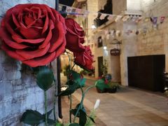 -华谊兄弟（长沙）电影小镇