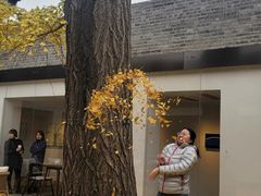 -自如ZSPACE四合院艺术餐厅