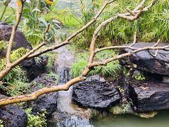 -和顺柏联温泉