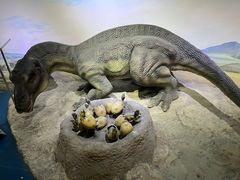 -国家自然博物馆