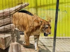 -荆州中山公园动物园