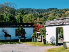 -杭州植物园