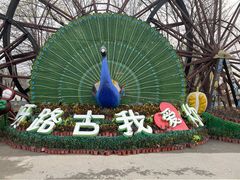 -呀路古热带植物园