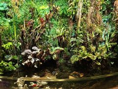 -太平洋海底世界