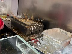 -辽B·小串(总店)