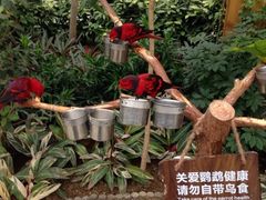 iphone_upload_pic-世界地热博览园