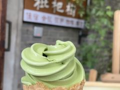 -两棵枇杷树