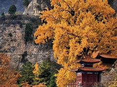 -沕沕水生态风景区