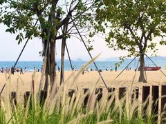 -大梅沙海滨公园