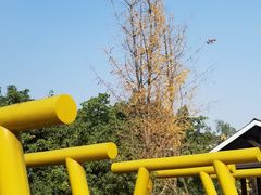 -沙河三洞古桥公园