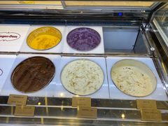 -哈根达斯(龙湖时代天街店)