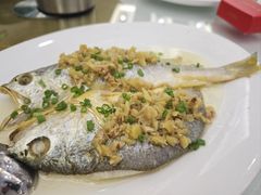 -泉龙渔村·粤式早茶·金牌烧鹅(中山三乡店)